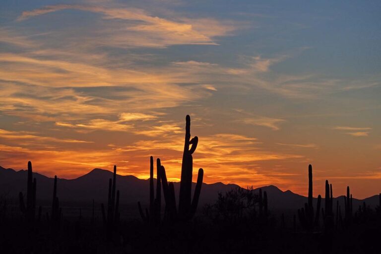 The Significance of Mind, Body, and Spirit Counseling for the BIOPIC Community in Phoenix, Arizona